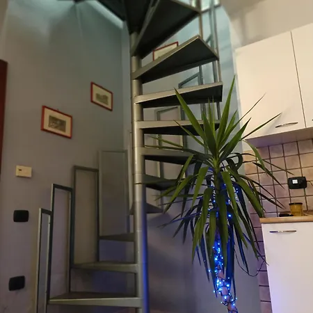 Apartment Leviole
